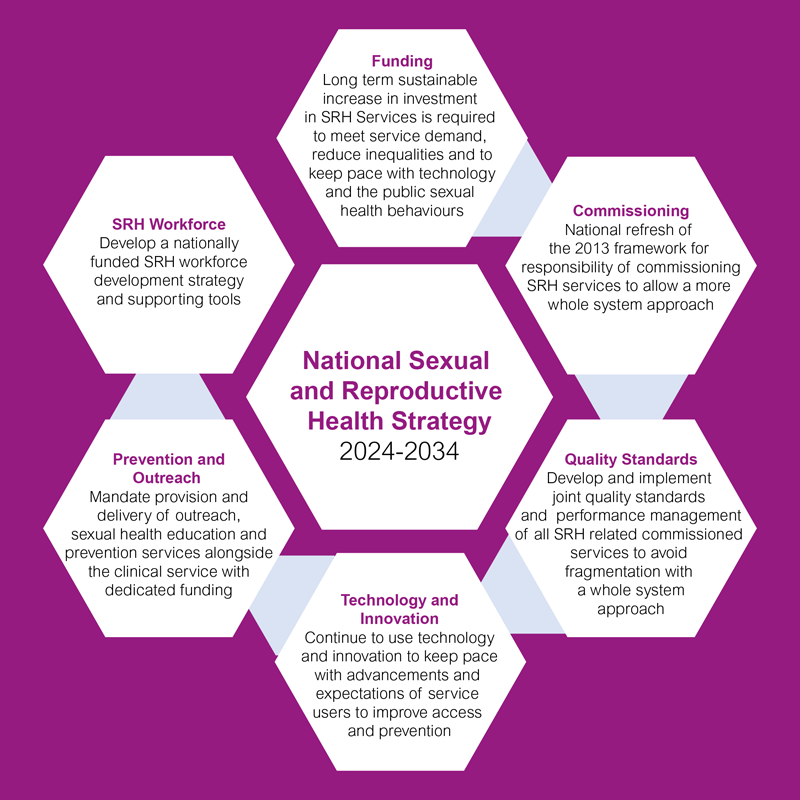 A hexagonal image of the National Sexual and Reproductive Health Strategy 2023-2034 with its six facets: funding, commissioning, prevention and outreach, SRH workforce, technology and innovation, and quality standards.