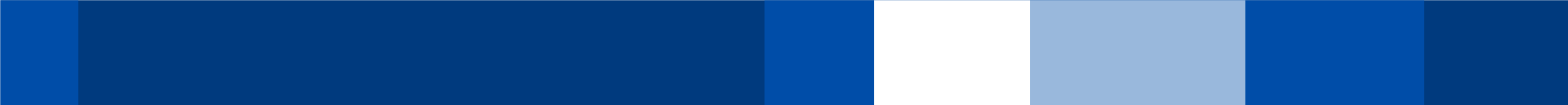 Decorative blue banner