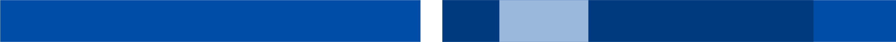 Decorative blue banner