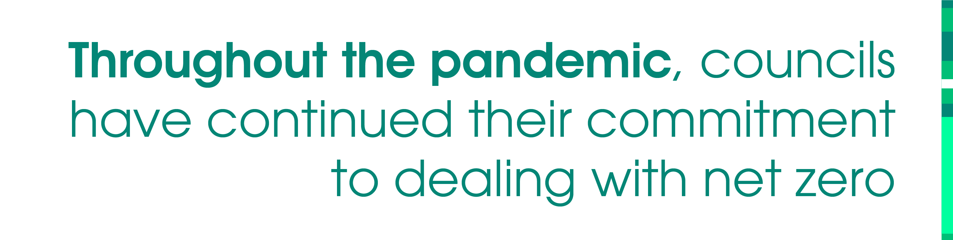Throughout the pandemic, councils have continued their commitment to dealing with net zero.