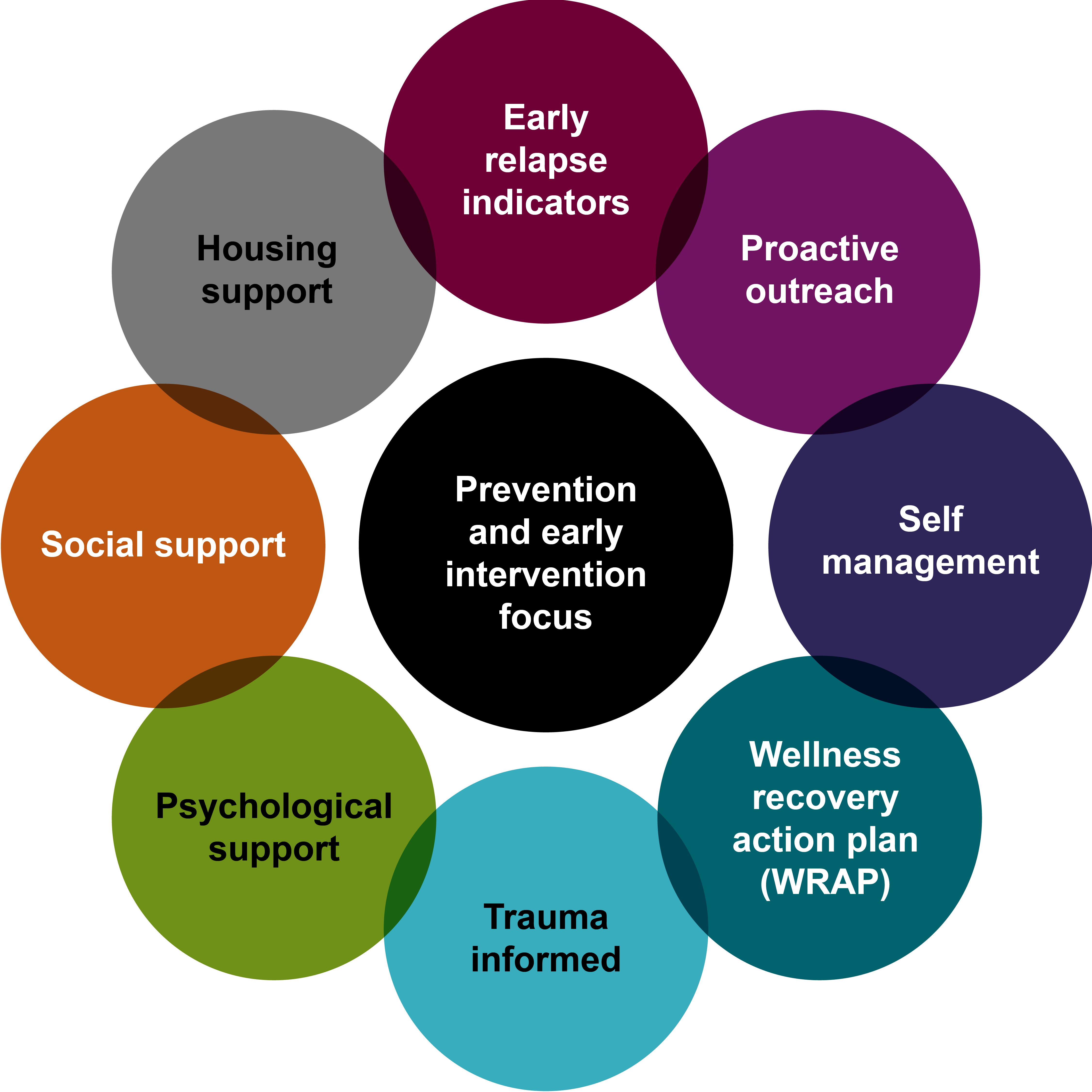 Prevention and early intervention focus support should be informed by early relapse indicators, proactive outreach, self management, wellness recovery action plan, trauma informed, psychological support, social support, and housing support.