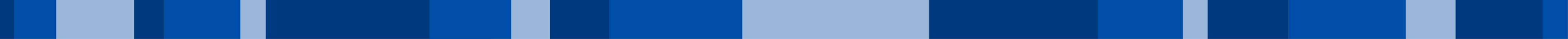 BLUE BANNER