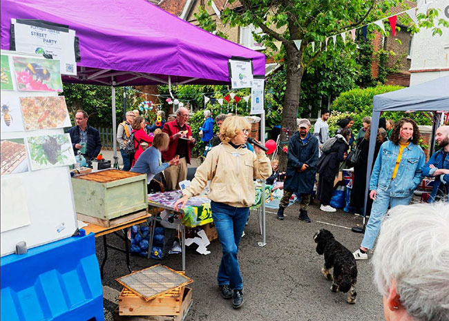 A local beekeeper giving a talk on the importance of biodiversity at Olive Road's eco-themed street party hosted by local residents