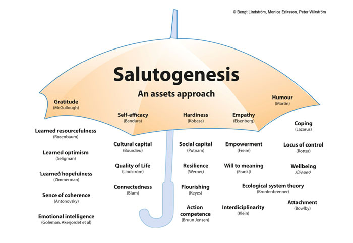 Asset and resource concepts under the salutogenic umbrella