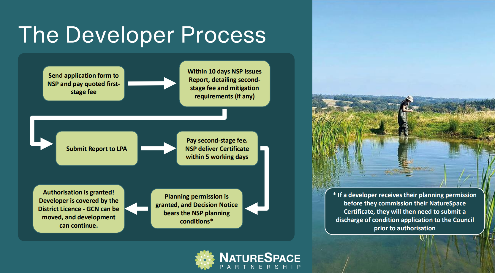 Developer Process Slide from a PAS BNG Market in Practice Event
