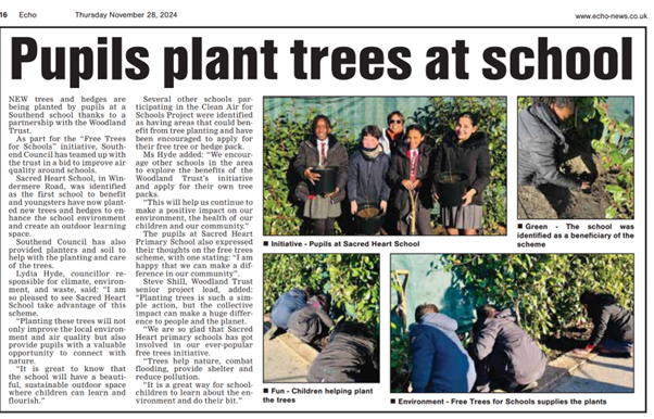 Pupils plant trees at school