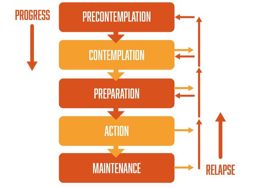 Transformation chart for BI waste case study
