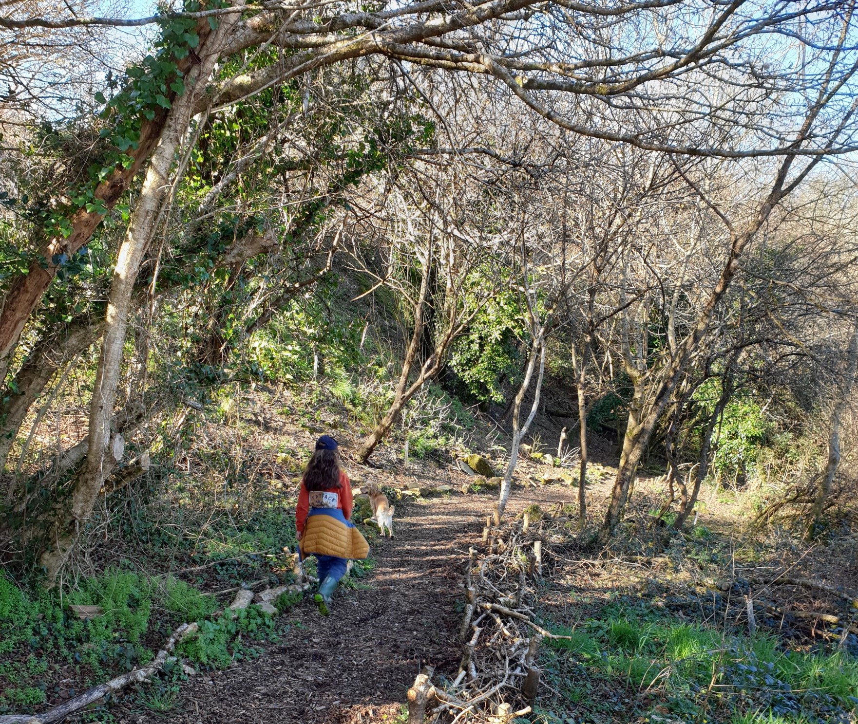 Image of a woman and dog in a forest 