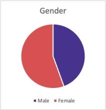 Staff and other key stakeholders' interviewees' genders are as follows: slightly more than half were female, and slightly less than half were male