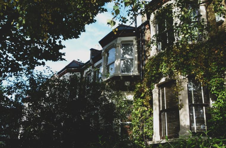 The front of a british home in a leafy suburb