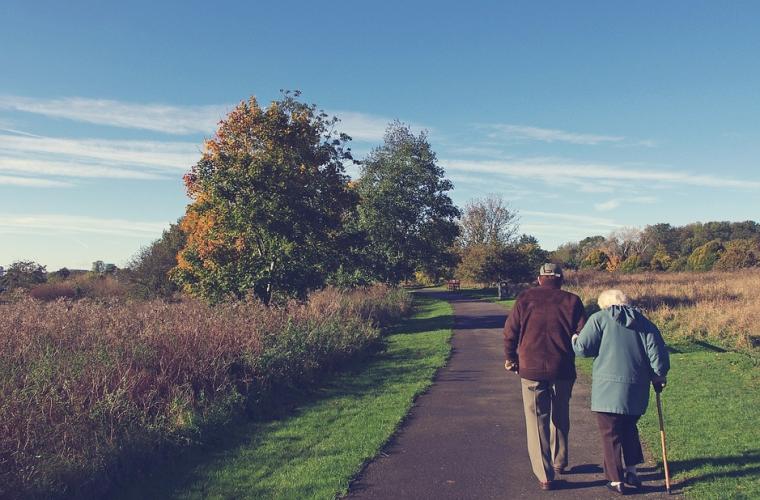 health - social care - elderly couple in countryside