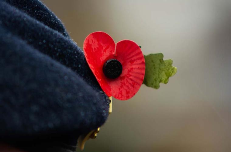 Beret and poppy