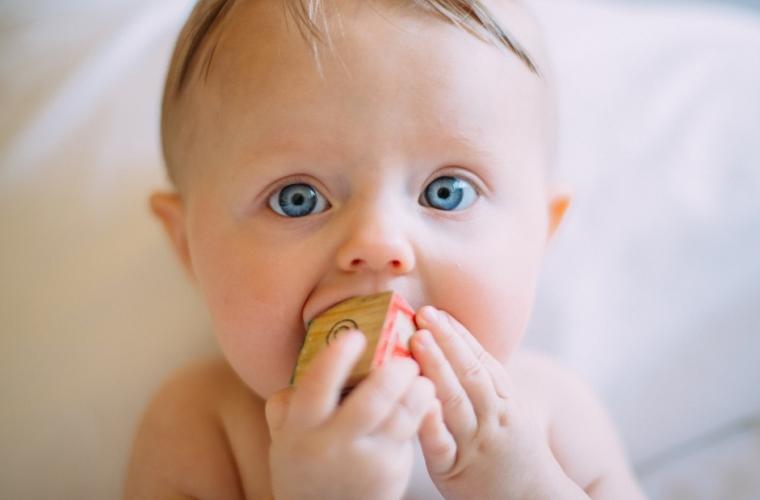 Young baby looking into camera